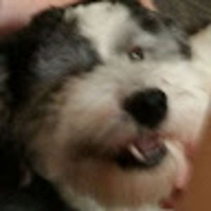 Meet your Posher, Helena